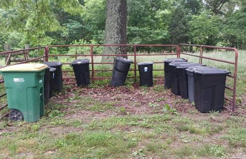 Buffalo River Lodge (Yellville)- Lower Level - Foto 29