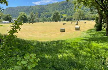 Glanrhyd cottage - Foto 42