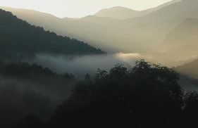 Cal Sadurní - Foto 41