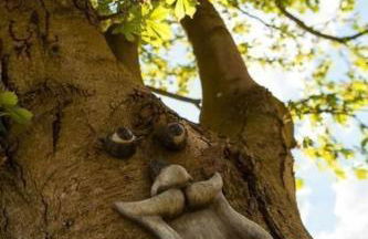 Apartment Am Rückerlhof-Katrin by Interhome - Foto 17