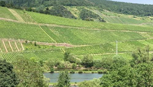 Pünderich Castle View - Foto 3, Other