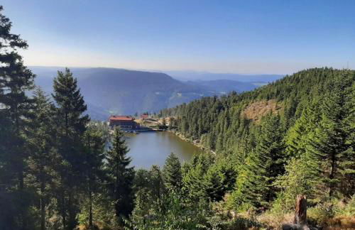 Ferienwohnung Schwarzwald Tannenzäpfle - Foto 48