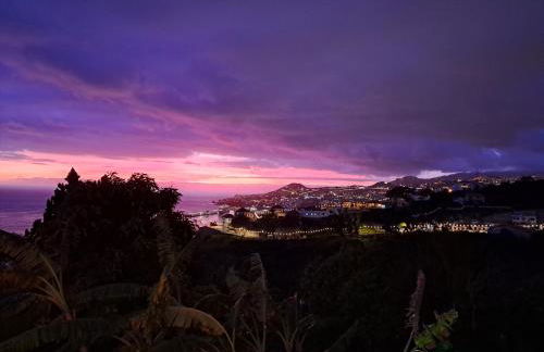 S&I Chillhouse Funchal - Foto 11