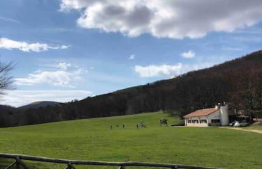 Casa Vacanze Emily nel parco del Monte Cucco - Foto 35