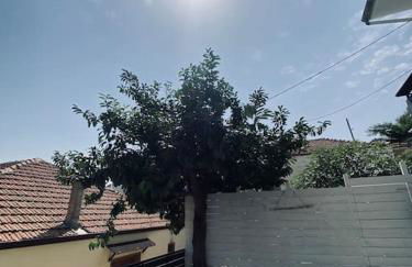 calm stone house elemm - Foto 49