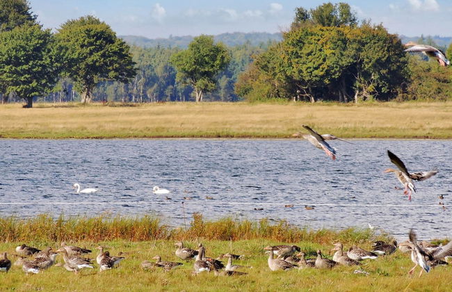 "Margareta" - 250m to the fjord - Foto 5