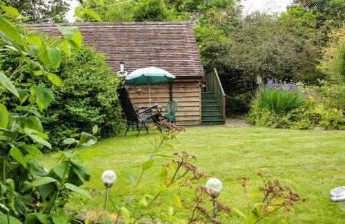 Milford Tree Tops - Foto 18