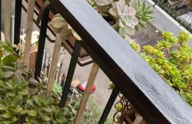 Semini di nostalgia - Foto 11