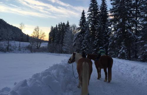 Ferienhaus am Römerweg - Foto 74