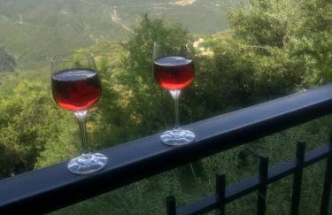 Gourgiana Apartments - Foto 52