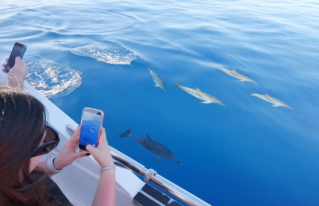 Avistamiento de delfines y ballenas en barco - Foto 16