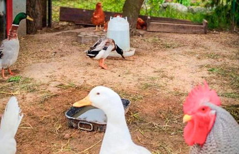 2 Bedroom Cozy Home In Kolsko - Foto 22