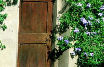 Podere il Poggiolo - Foto 113