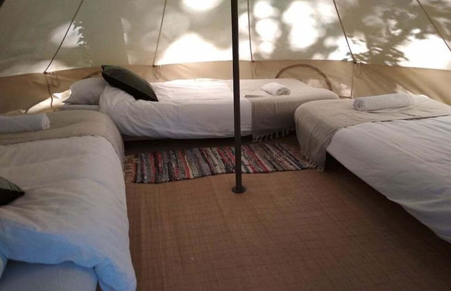 Associação Quinta das Relvas - Foto 14