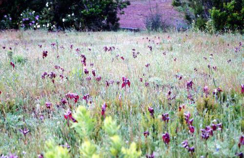 Villa Shanti Yoga & Meditation - Foto 49