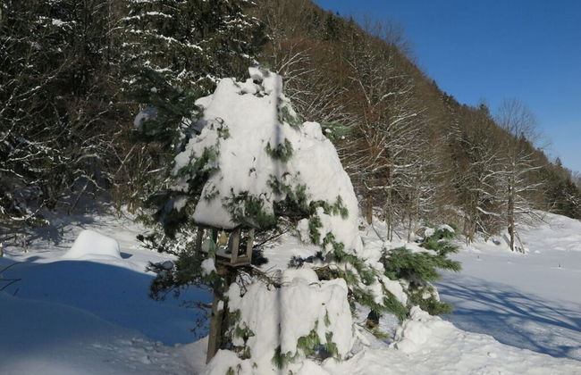 Waterval in het Huis Boshoek - Foto 14