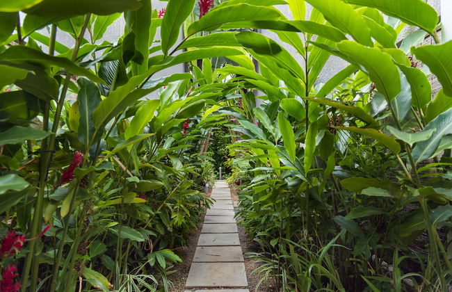 Mon Choisy Beach R. - Photo 33