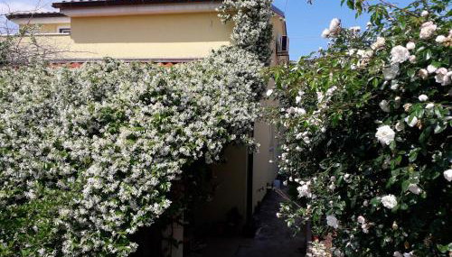 Apartment Samanta - Foto 3