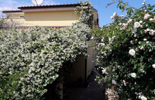 Apartment Samanta - Foto 3