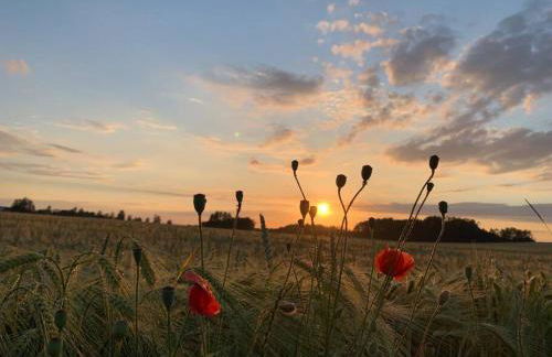 Familienfreundliches Landhaus "Karin" mit Pool - Foto 28