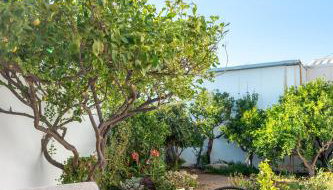 Sunset Apartment - Foto 5, Garden