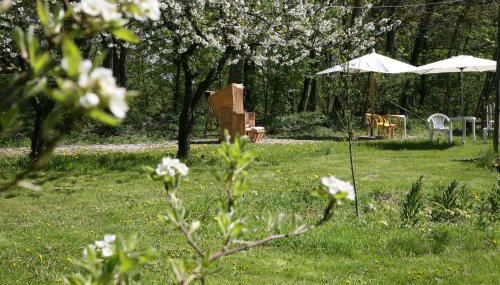 Radstation Menz - Foto 5, Garden, Garden view