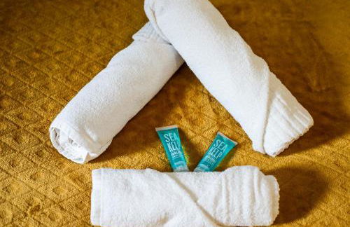 Le Céleste - Parking Privatif - Terrasse - Netflix - Foto 32