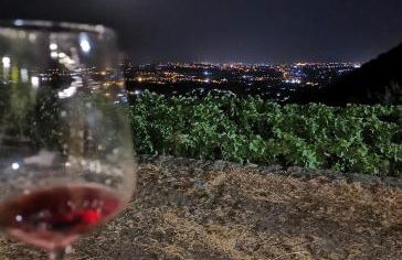 Villa Gorna - Foto 50