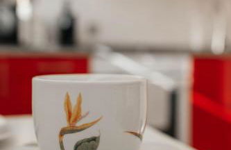 Guest House T4 no Porto - Foto 55