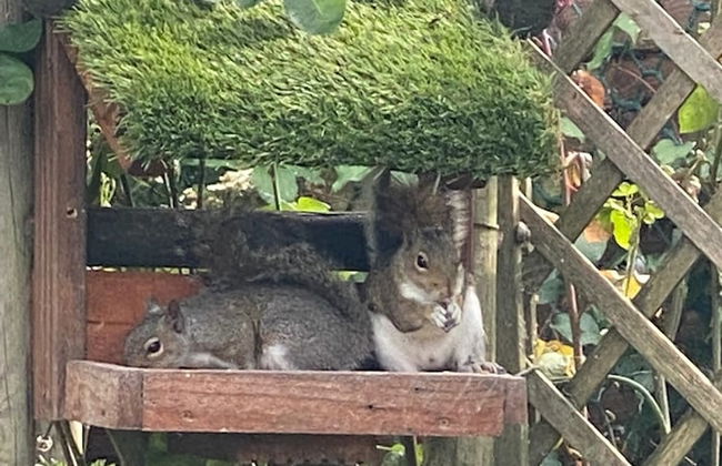 Modern Detached Bungalow - Photo 20
