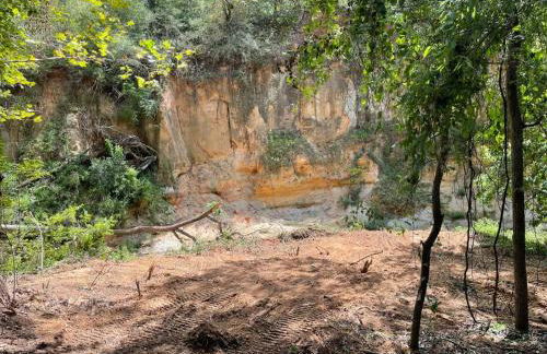 Colorado river access, game room & swimming pool - Photo 16