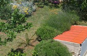 Apartments Krušvina - Foto 54