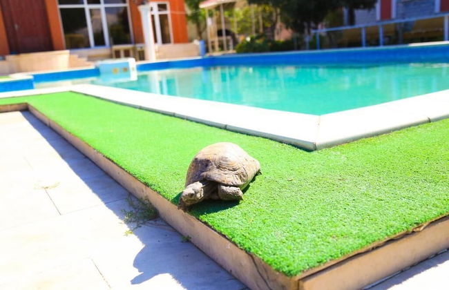 Premier Villas - Foto 32