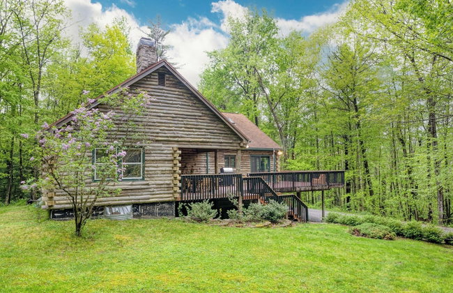 Secluded Forest Sanctuary Outdoor Living, Yard, Views Half Moon by Avantstay - Foto 27