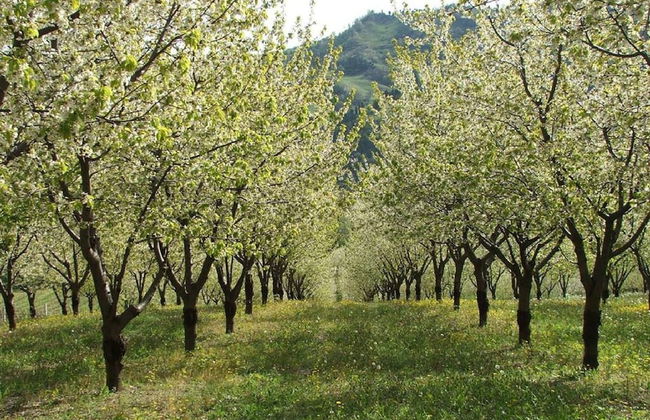 Belvilla by OYO Borgata Porpora Due - Photo 16