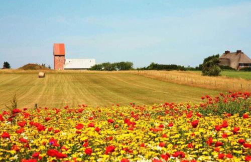 Süderhof Apartment 1 - Foto 21