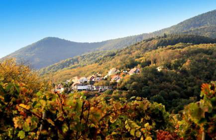 Alsace Panorama - Photo 50