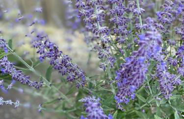 Gîte ty nina rosa - Photo 32