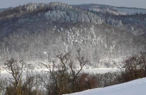 Ferienhaus in Obernburg am Edersee - Foto 75