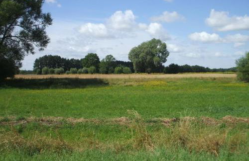 Holiday Home Oderhäuschen by Interhome - Photo 16