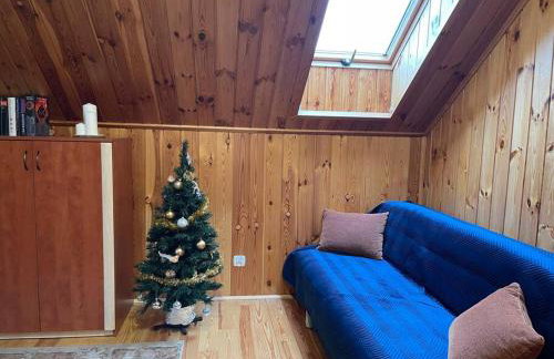 BESKIDIUM - uroczy dom Brenna - Foto 29