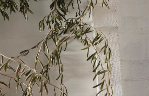 La Grulla Gris - Foto 13