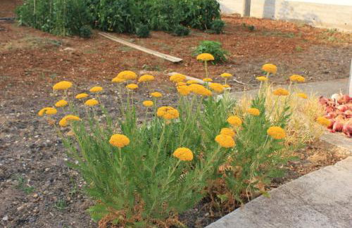 Apartments by the sea Kraj, Pasman - 331 - Photo 12