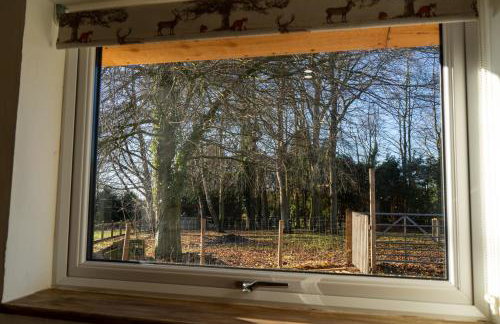 Rose Hideaway - Photo 2