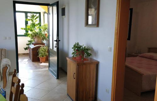 Apartman A&M - Photo 14