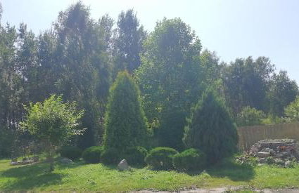 Leśne Apartamenty - Foto 20