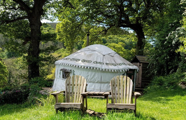 Hapus Yurt - Two Beautiful Yurts and Barn Cottage - Foto 43