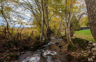 Annexe du Moulin Renaudiots - Havre de paix Luxe et Nature - Foto 27