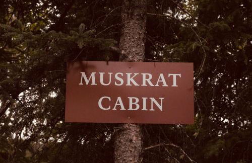 Denali Wild Stay - Muskrat cabin, private, free wifi, free parking, sleep 4 - Foto 24