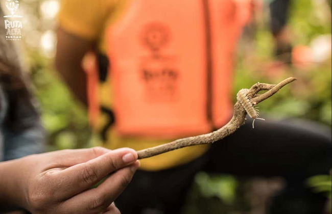 Regalia Waterfalls Hiking Tour - Photo 8